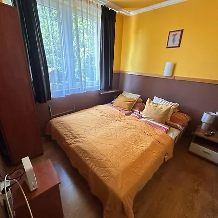 公寓 Aranyeso Apartman- 300 Meterre A Strandtol Hajdúszoboszló