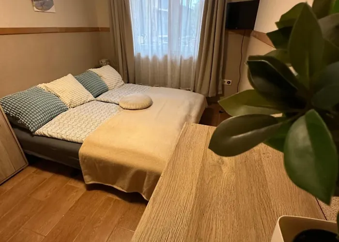Aranyeso Apartman- 300 Meterre A Strandtol Lejlighed Hajdúszoboszló